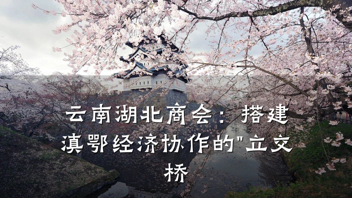 云南湖北商会：搭建滇鄂经济协作的"立交桥