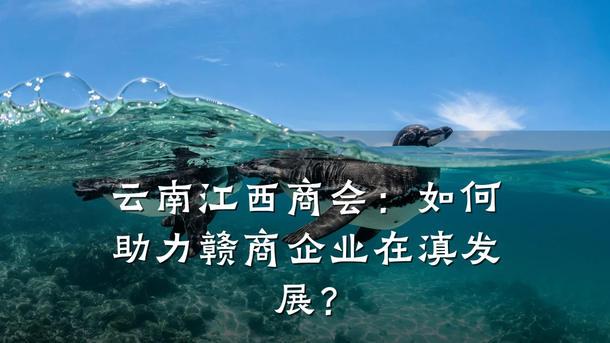 云南江西商会:如何助力赣商企业在滇发展?