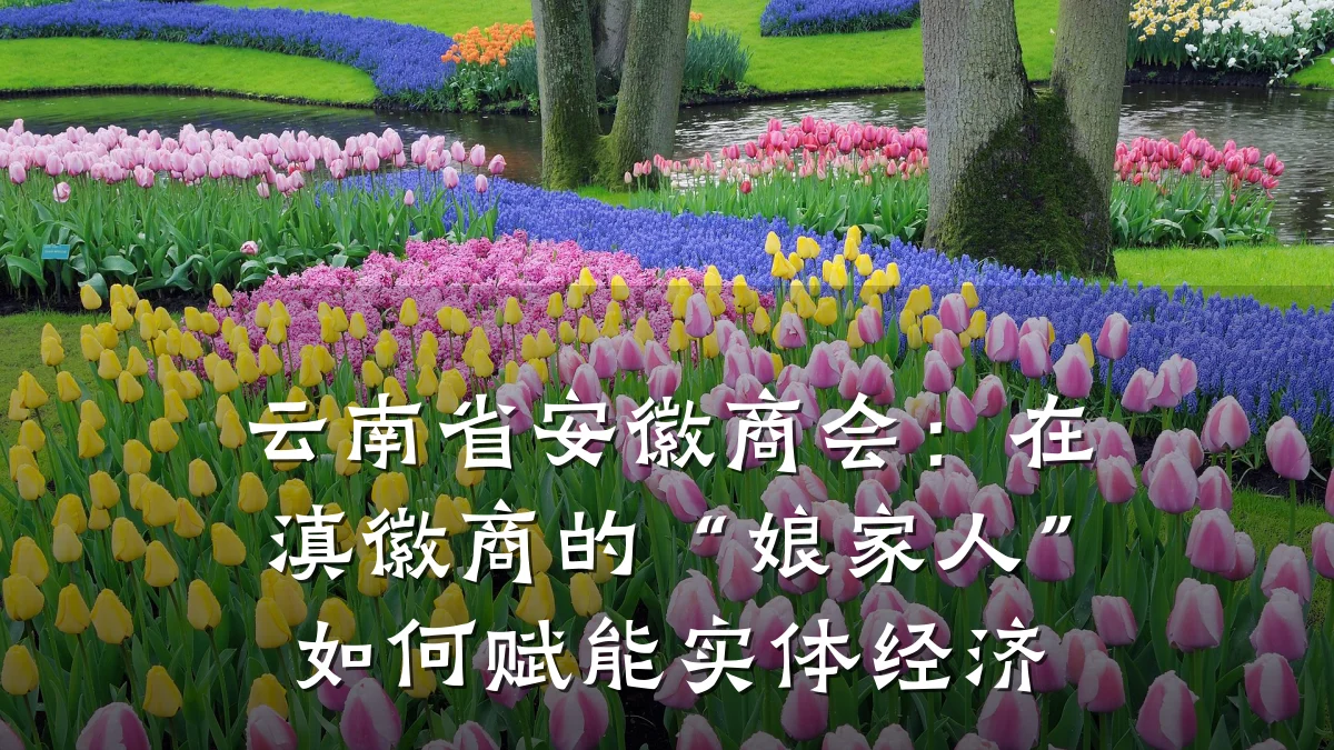云南省安徽商会:在滇徽商的“娘家人”如何赋能实体经济