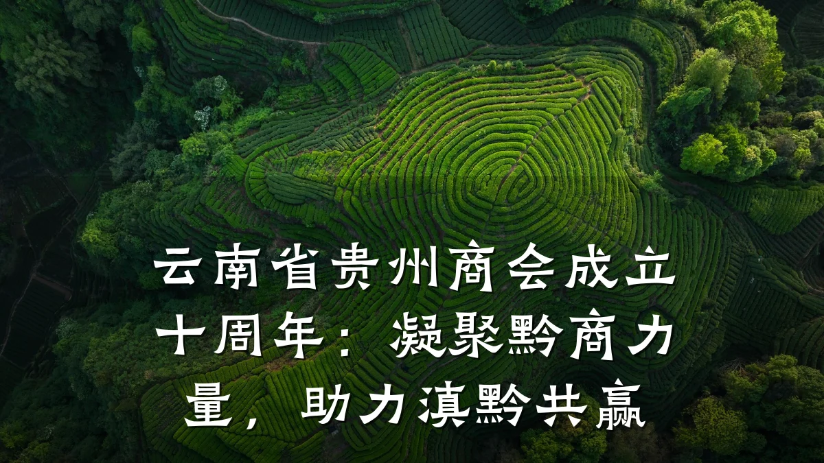 云南省贵州商会成立十周年:凝聚黔商力量,助力滇黔共赢