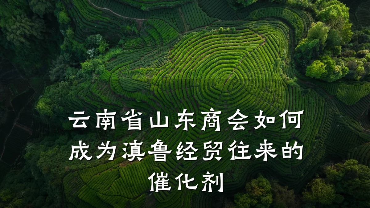 云南省山东商会如何成为滇鲁经贸往来的催化剂