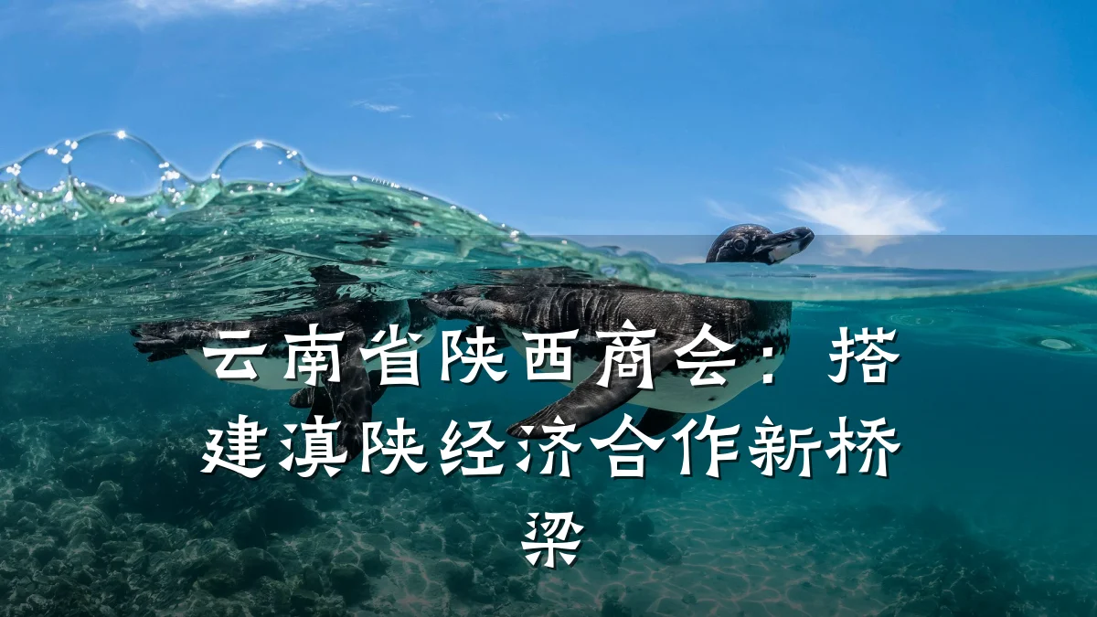 云南省陕西商会:搭建滇陕经济合作新桥梁