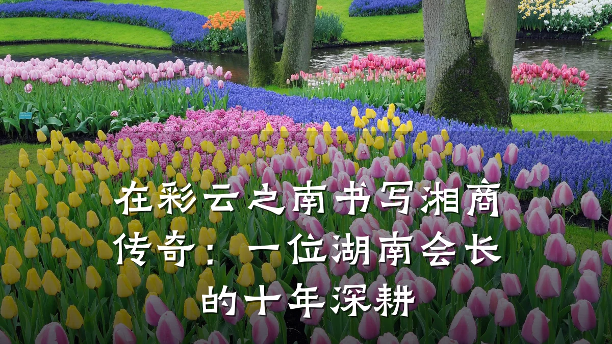 在彩云之南书写湘商传奇:一位湖南会长的十年深耕