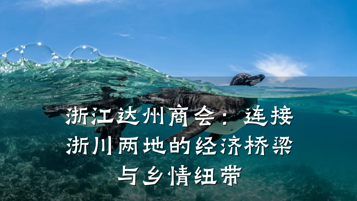 浙江达州商会:连接浙川两地的经济桥梁与乡情纽带