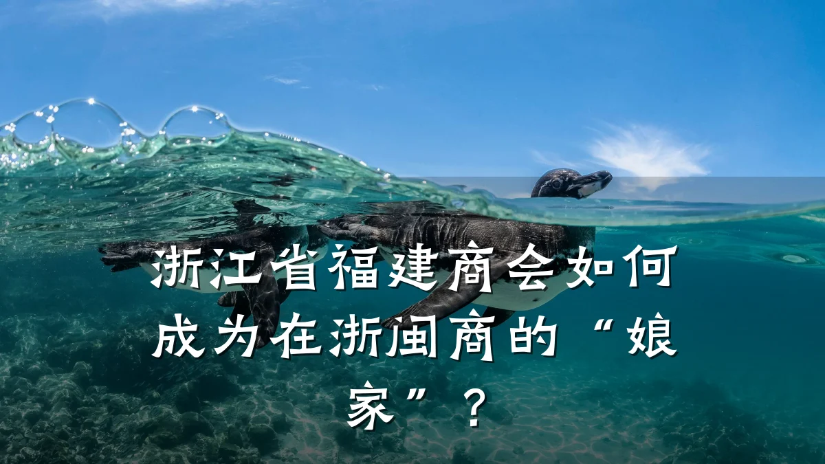 浙江省福建商会如何成为在浙闽商的“娘家”?