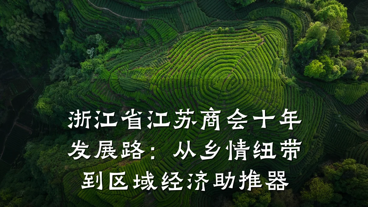 浙江省江苏商会十年发展路：从乡情纽带到区域经济助推器