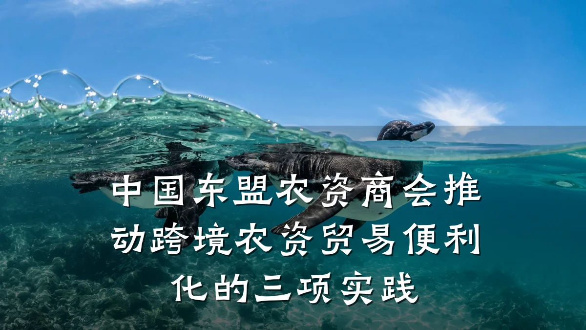 中国东盟农资商会推动跨境农资贸易便利化的三项实践