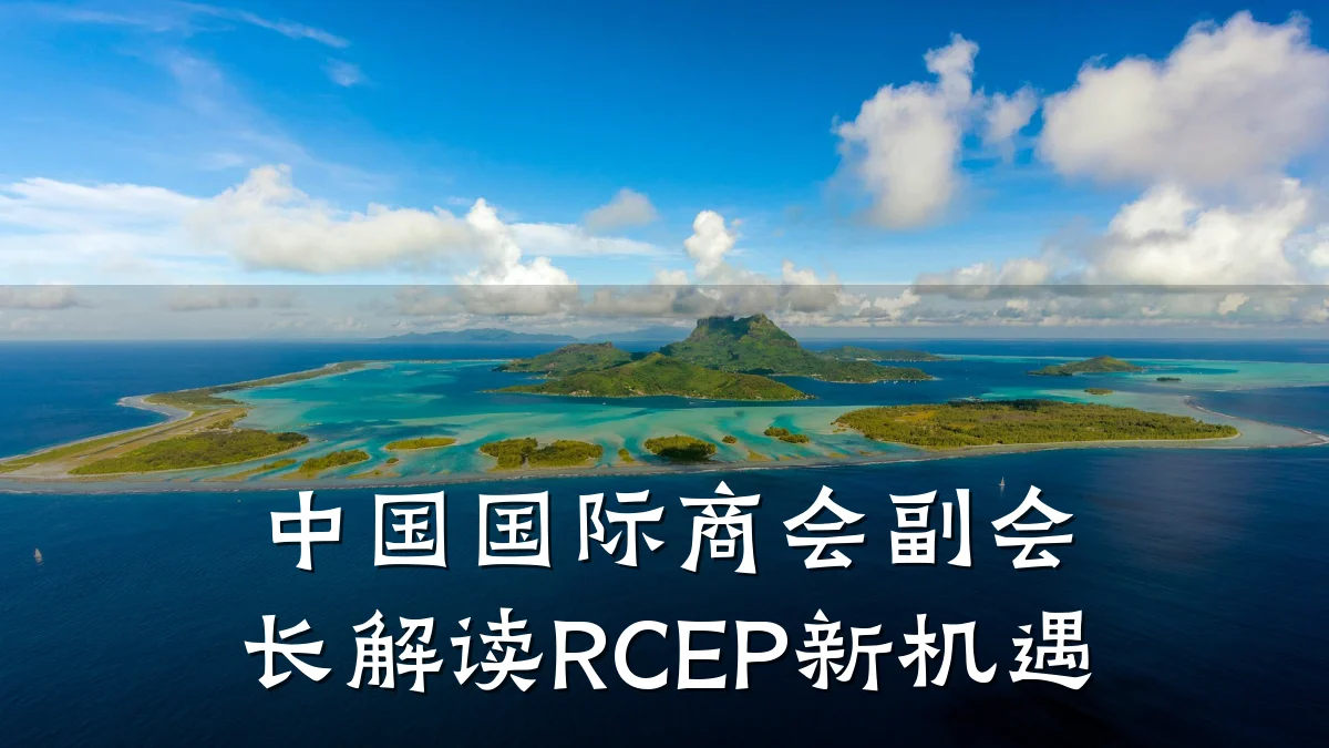 中国国际商会副会长解读RCEP新机遇