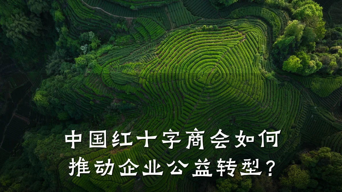 中国红十字商会如何推动企业公益转型？