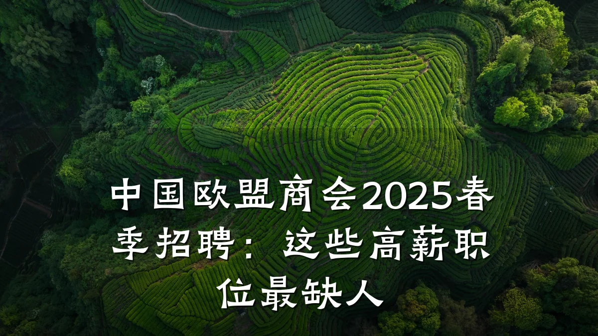中国欧盟商会2025春季招聘:这些高薪职位最缺人