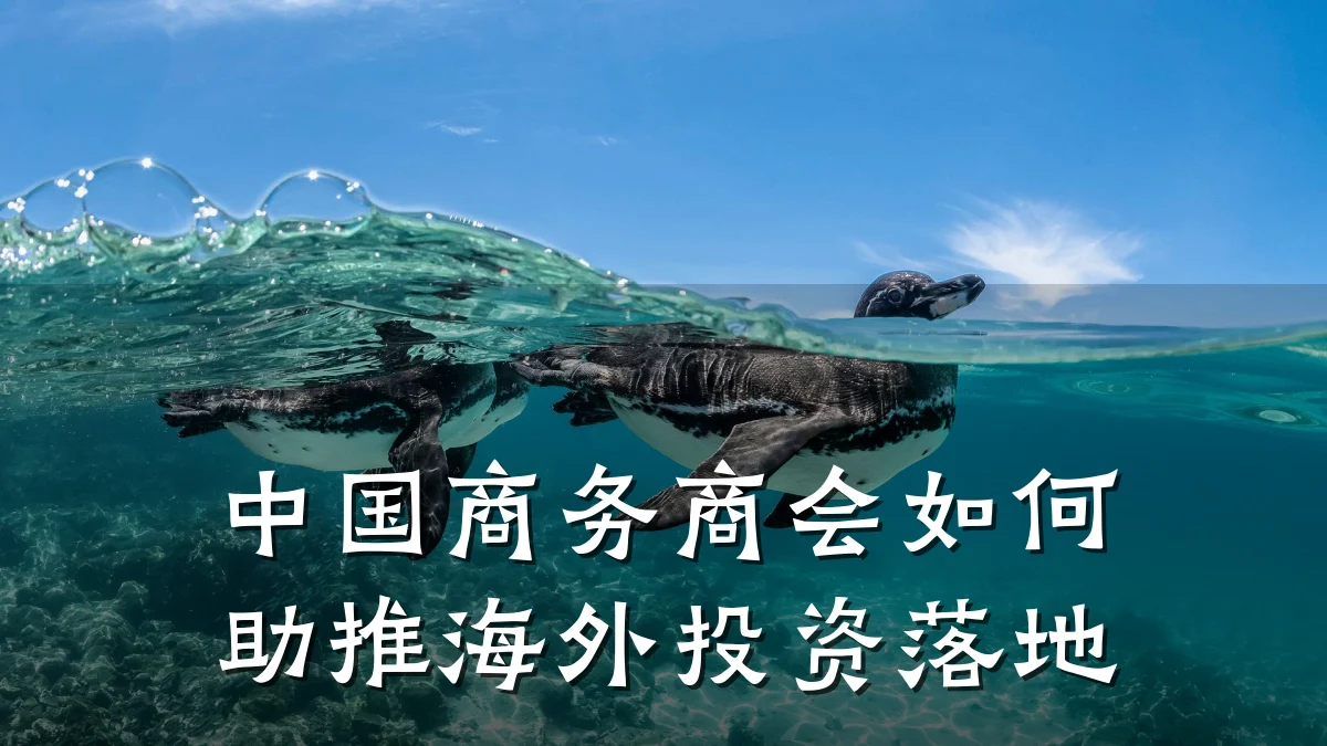 中国商务商会如何助推海外投资落地
