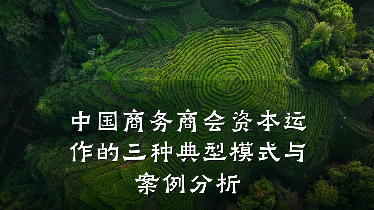中国商务商会资本运作的三种典型模式与案例分析