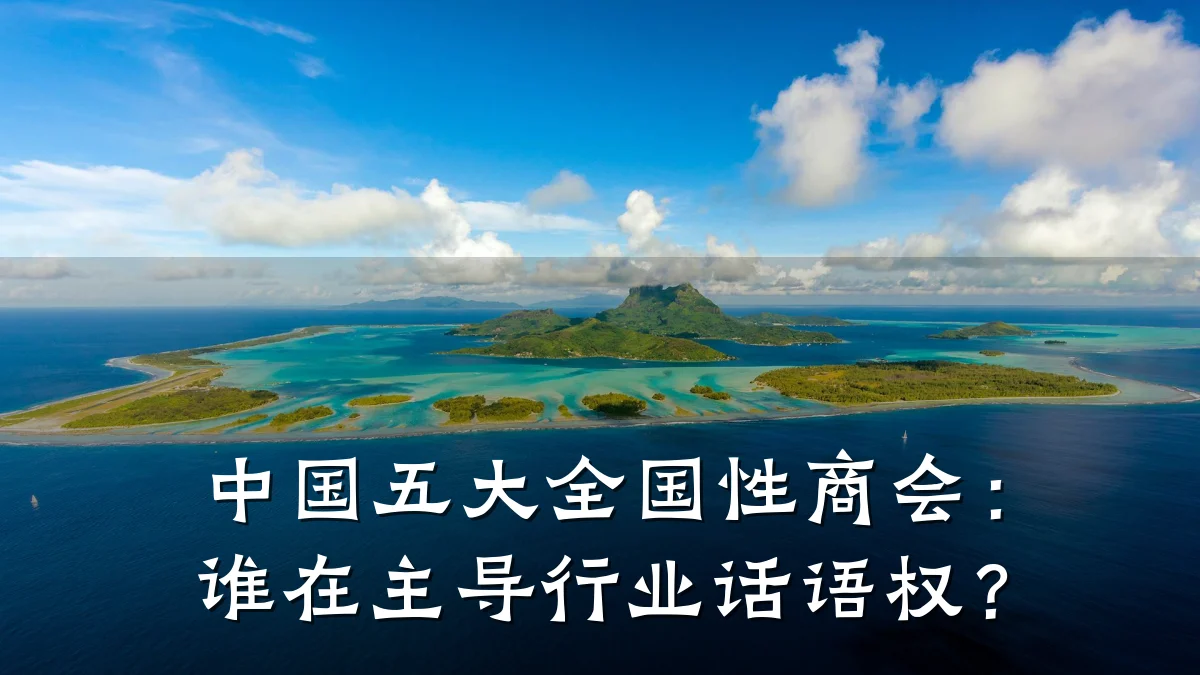 中国五大全国性商会：谁在主导行业话语权？