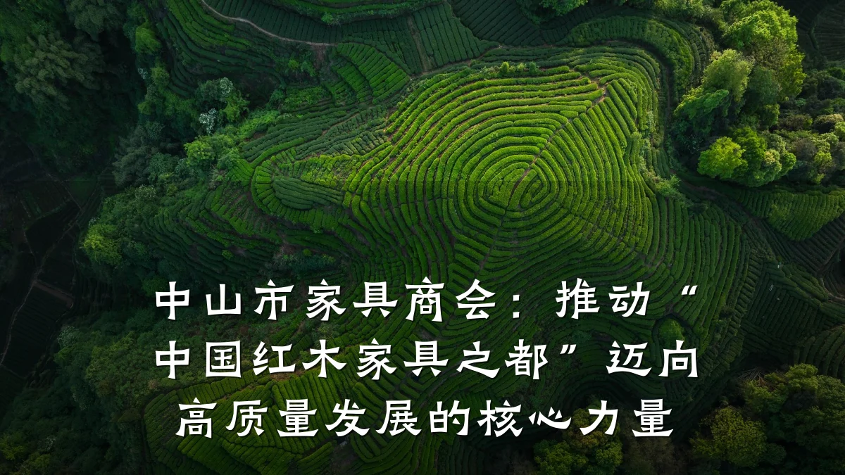 中山市家具商会:推动“中国红木家具之都”迈向高质量发展的核心力量