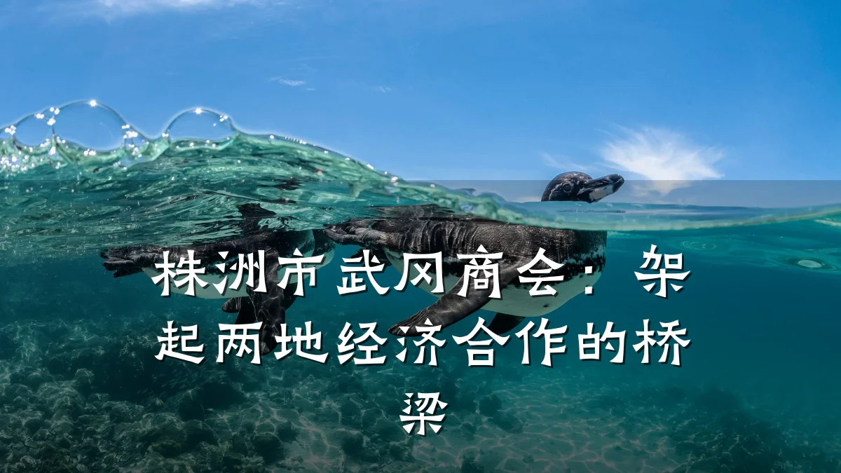 株洲市武冈商会:架起两地经济合作的桥梁