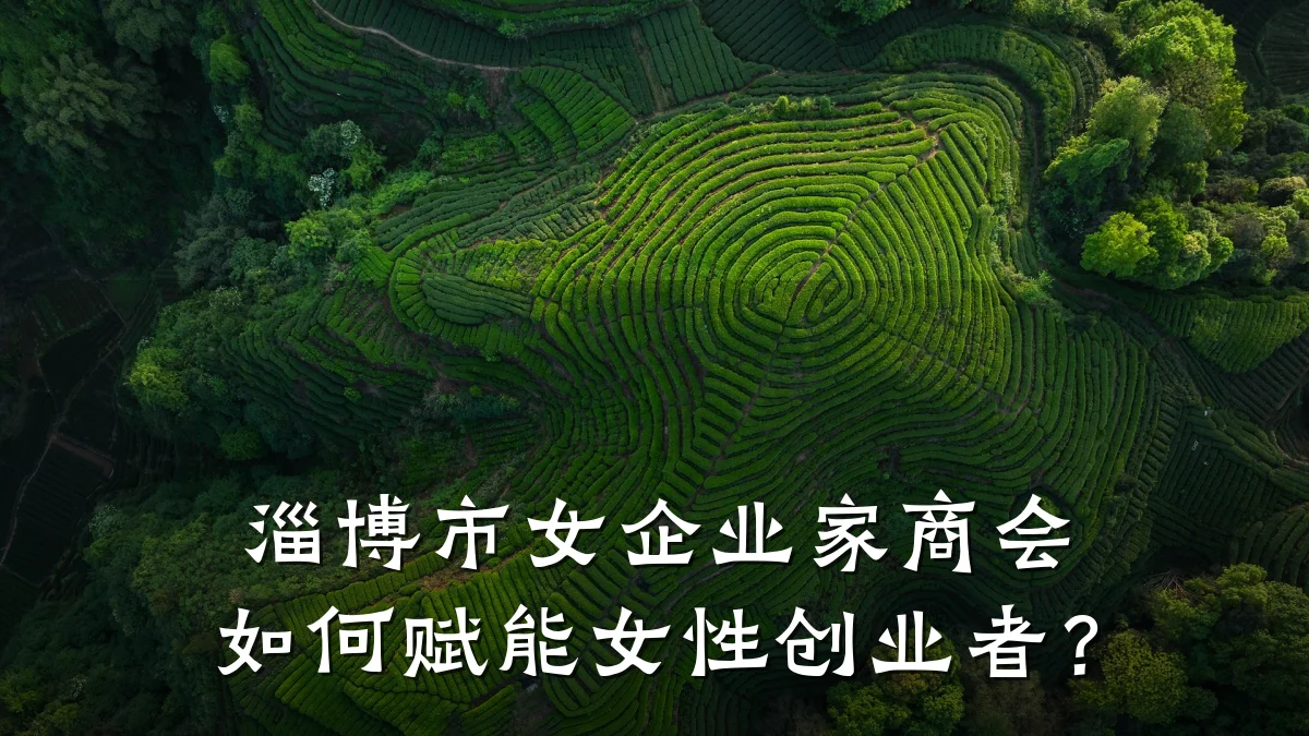 淄博市女企业家商会如何赋能女性创业者？