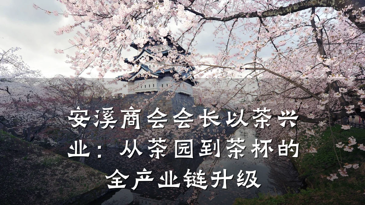 安溪商会会长以茶兴业：从茶园到茶杯的全产业链升级