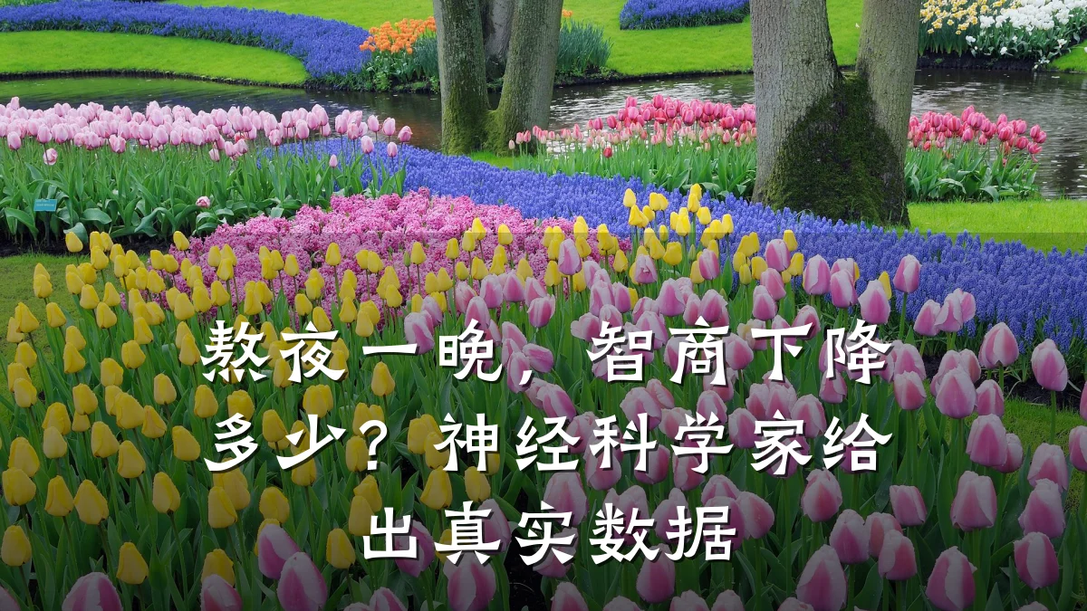 熬夜一晚，智商下降多少？神经科学家给出真实数据