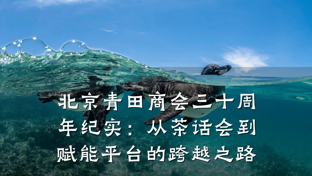 北京青田商会三十周年纪实：从茶话会到赋能平台的跨越之路