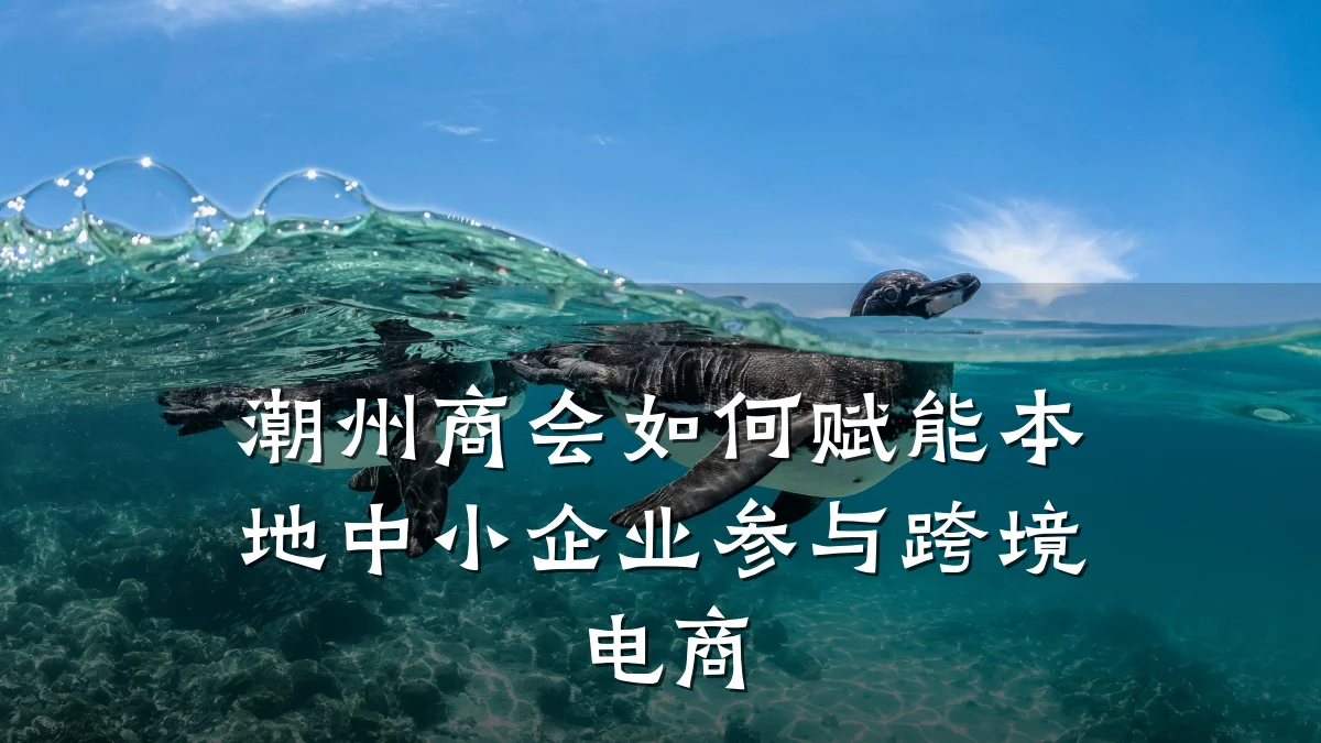 潮州商会如何赋能本地中小企业参与跨境电商
