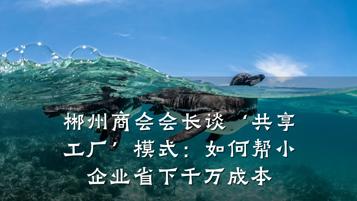 郴州商会会长谈‘共享工厂’模式:如何帮小企业省下千万成本