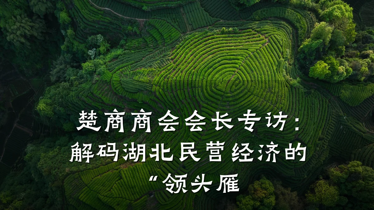楚商商会会长专访:解码湖北民营经济的“领头雁