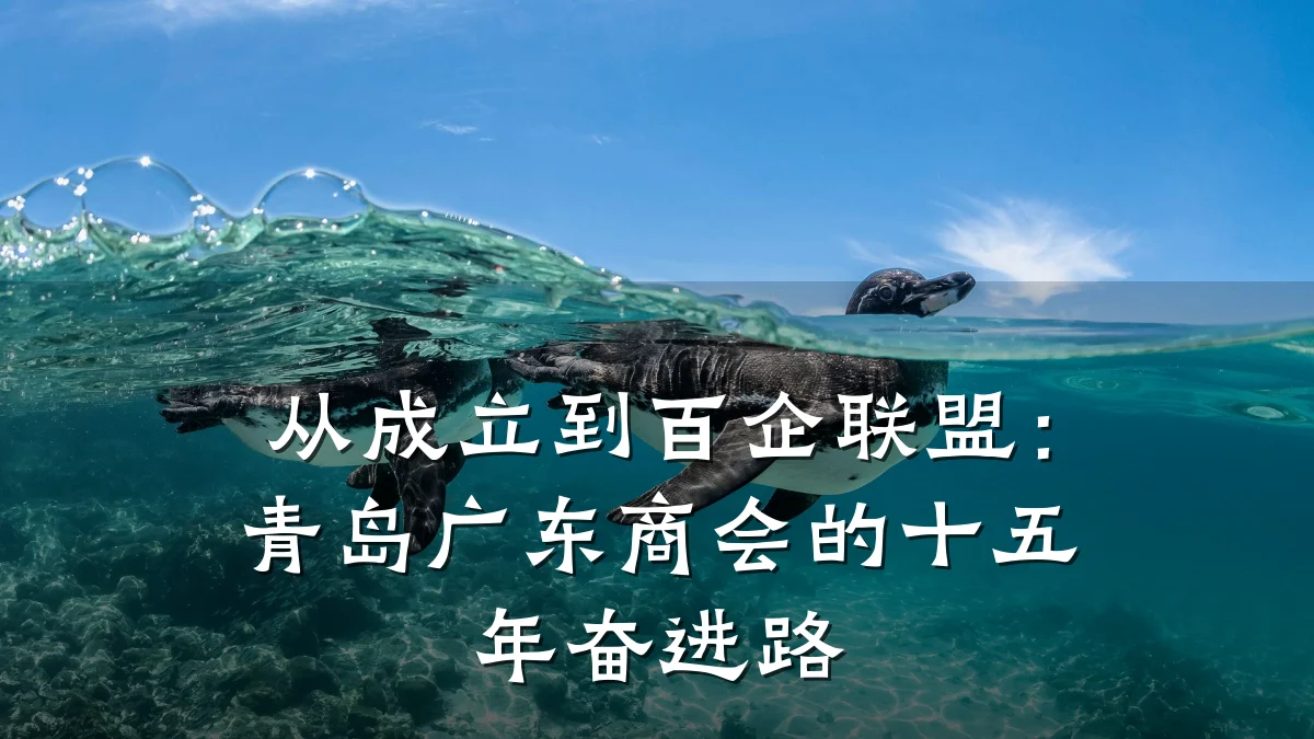 从成立到百企联盟：青岛广东商会的十五年奋进路