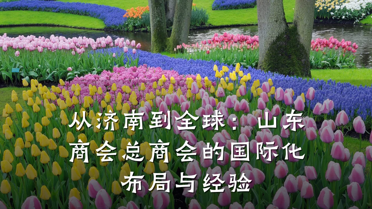 从济南到全球:山东商会总商会的国际化布局与经验