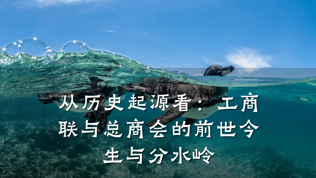 从历史起源看:工商联与总商会的前世今生与分水岭