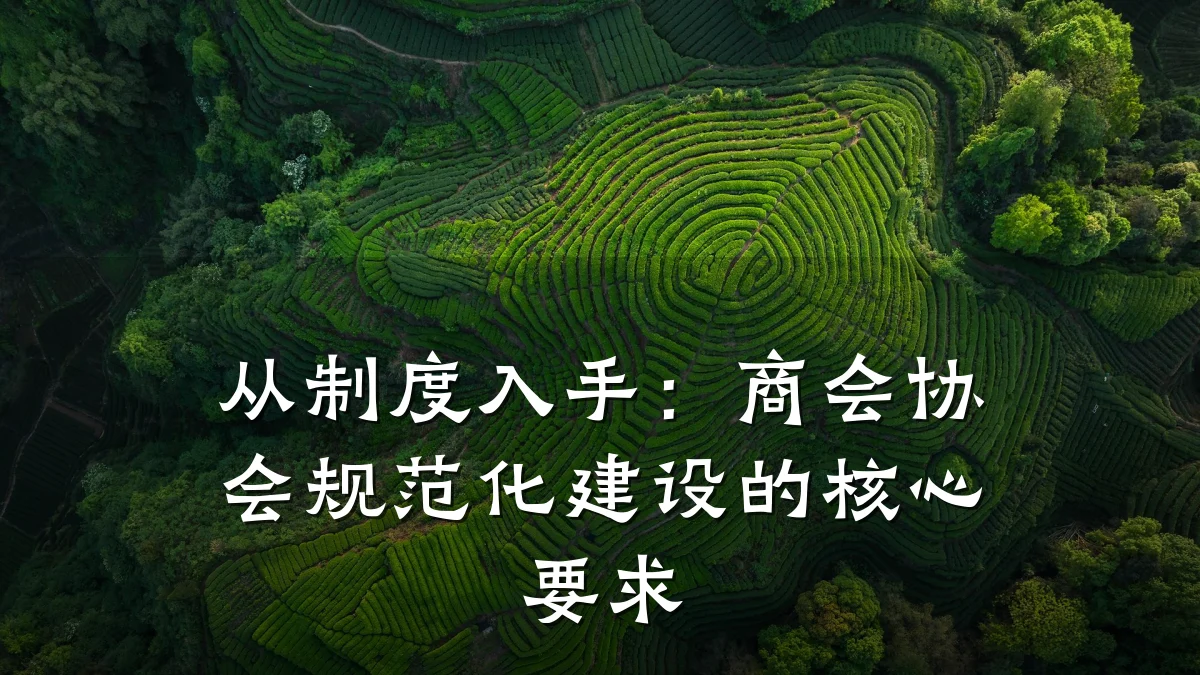 从制度入手：商会协会规范化建设的核心要求