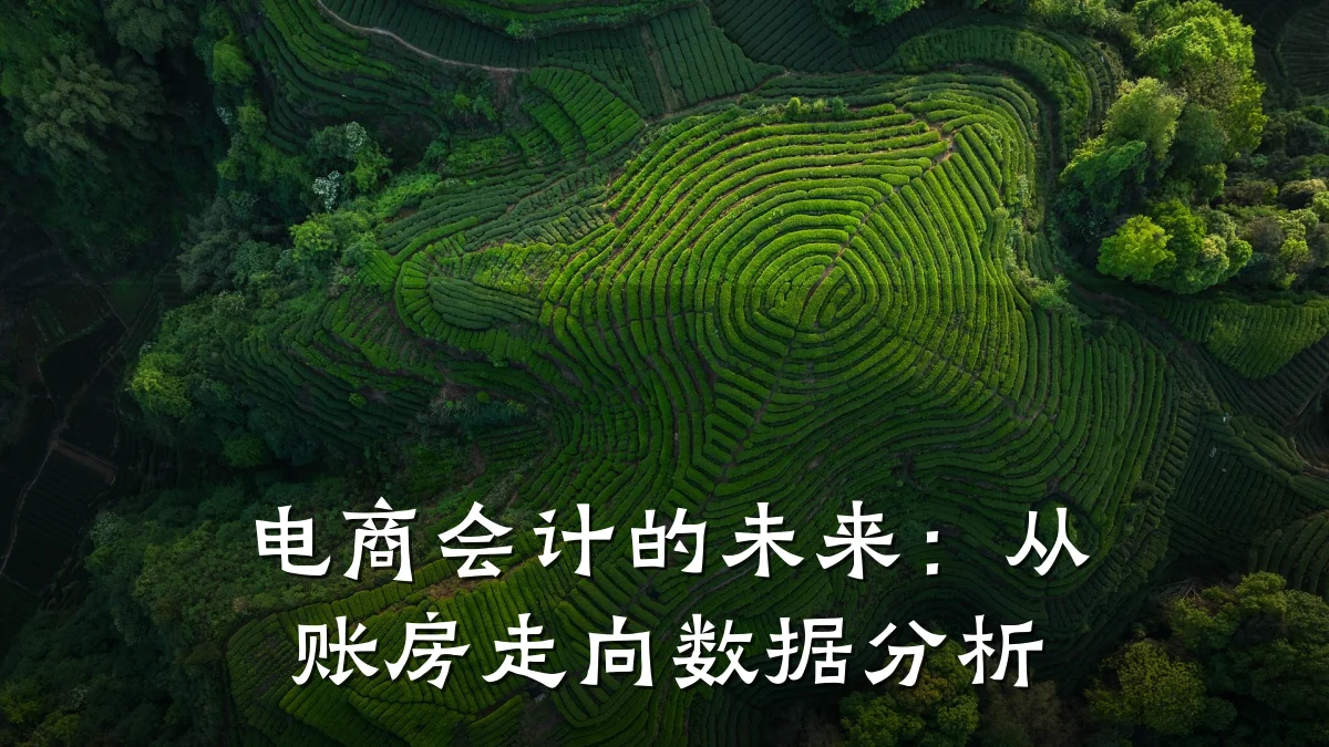 电商会计的未来:从账房走向数据分析