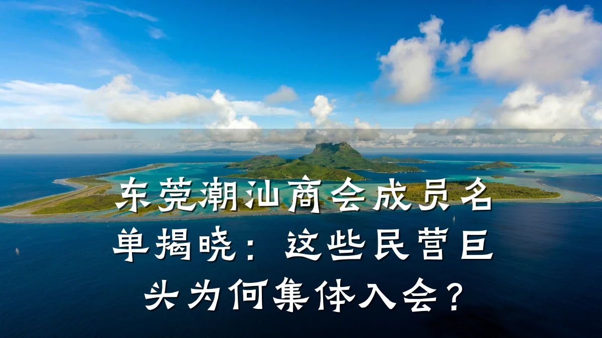 东莞潮汕商会成员名单揭晓:这些民营巨头为何集体入会?