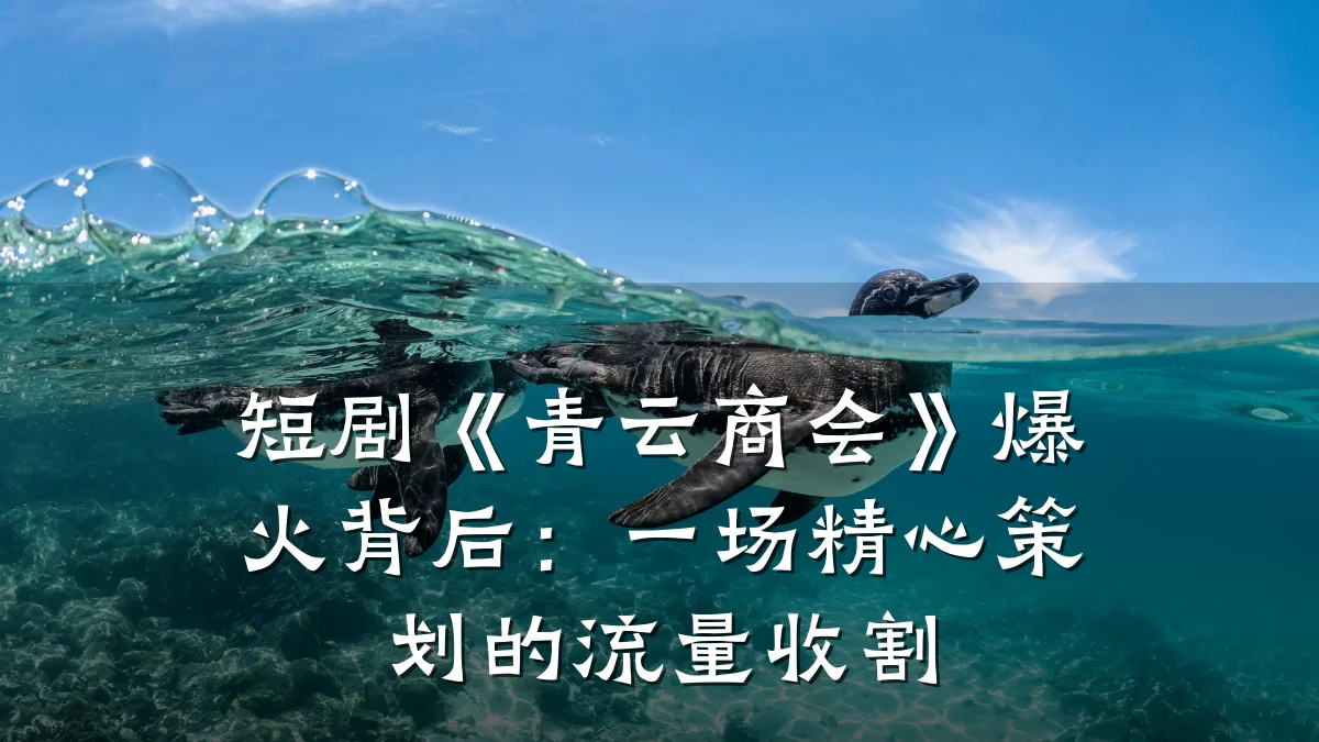 短剧《青云商会》爆火背后:一场精心策划的流量收割