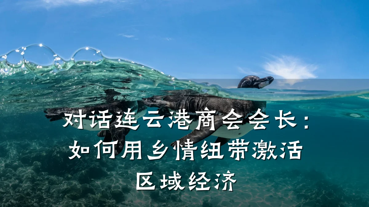 对话连云港商会会长:如何用乡情纽带激活区域经济