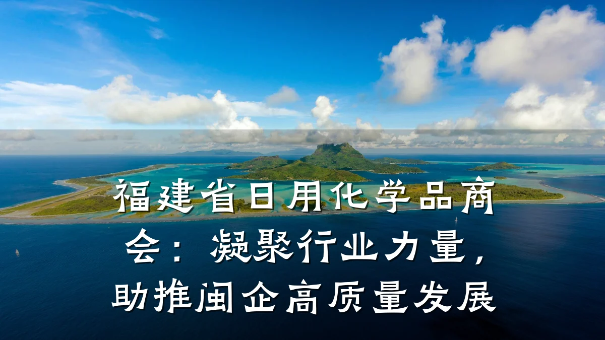福建省日用化学品商会:凝聚行业力量,助推闽企高质量发展