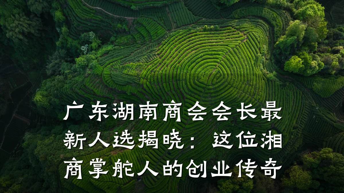 广东湖南商会会长最新人选揭晓:这位湘商掌舵人的创业传奇