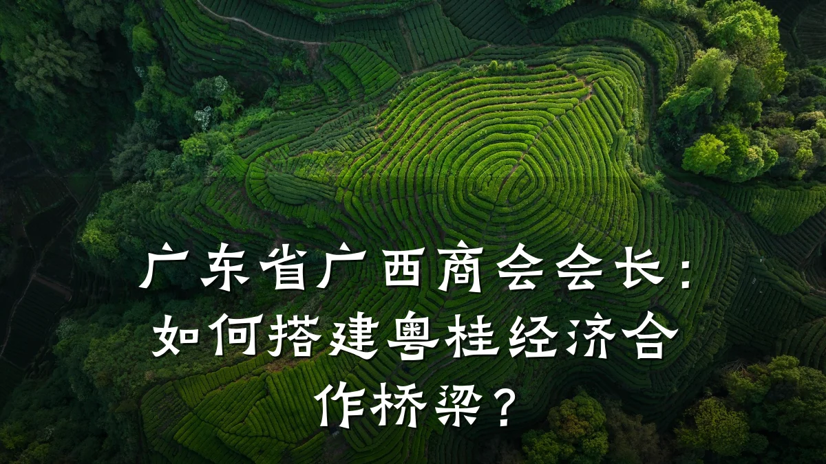 广东省广西商会会长:如何搭建粤桂经济合作桥梁?