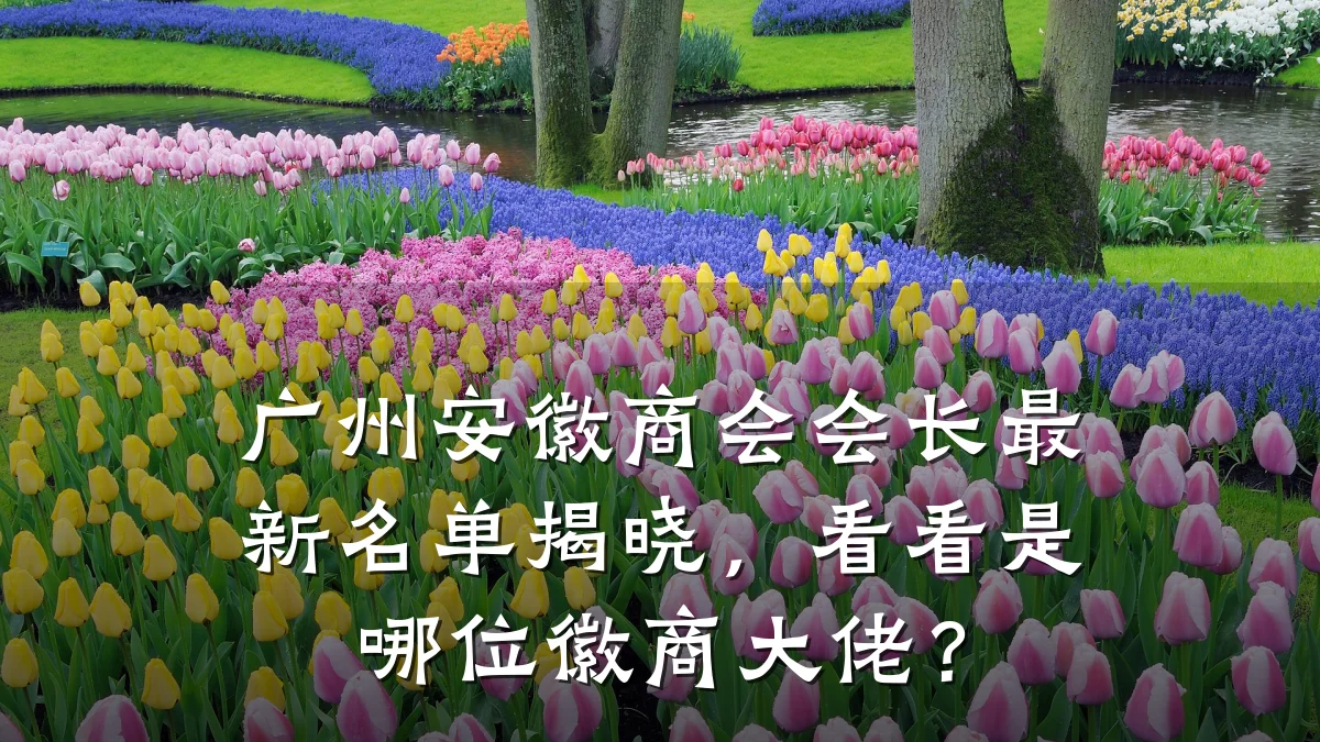 广州安徽商会会长最新名单揭晓,看看是哪位徽商大佬?