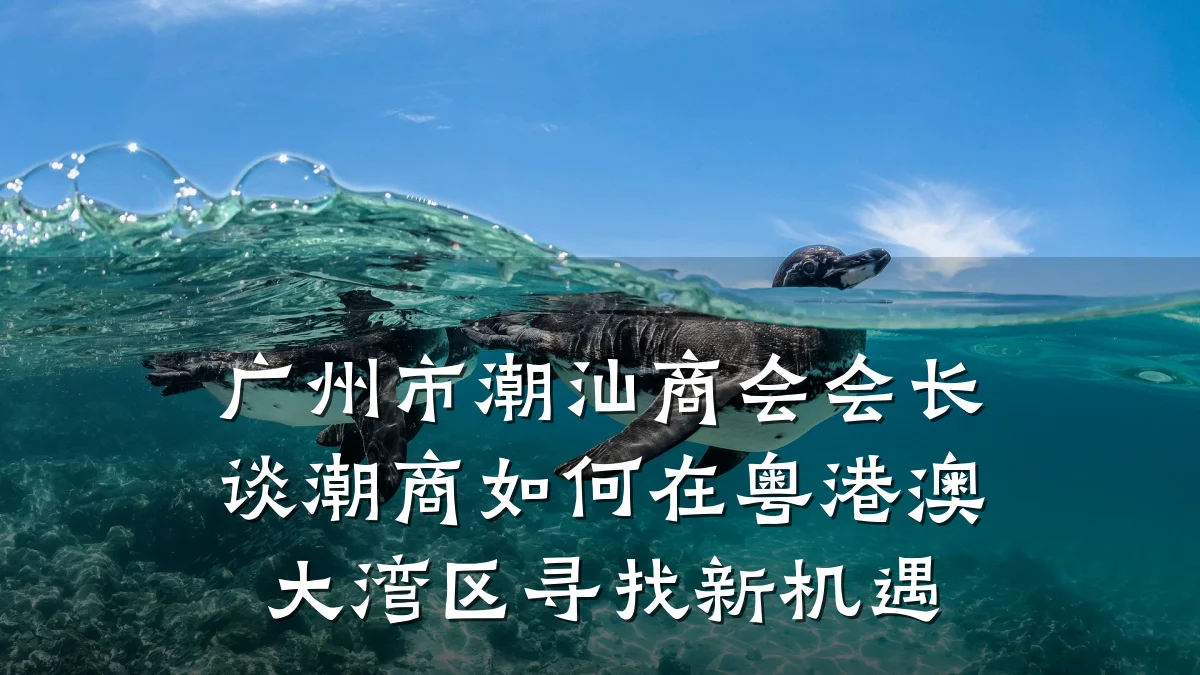 广州市潮汕商会会长谈潮商如何在粤港澳大湾区寻找新机遇