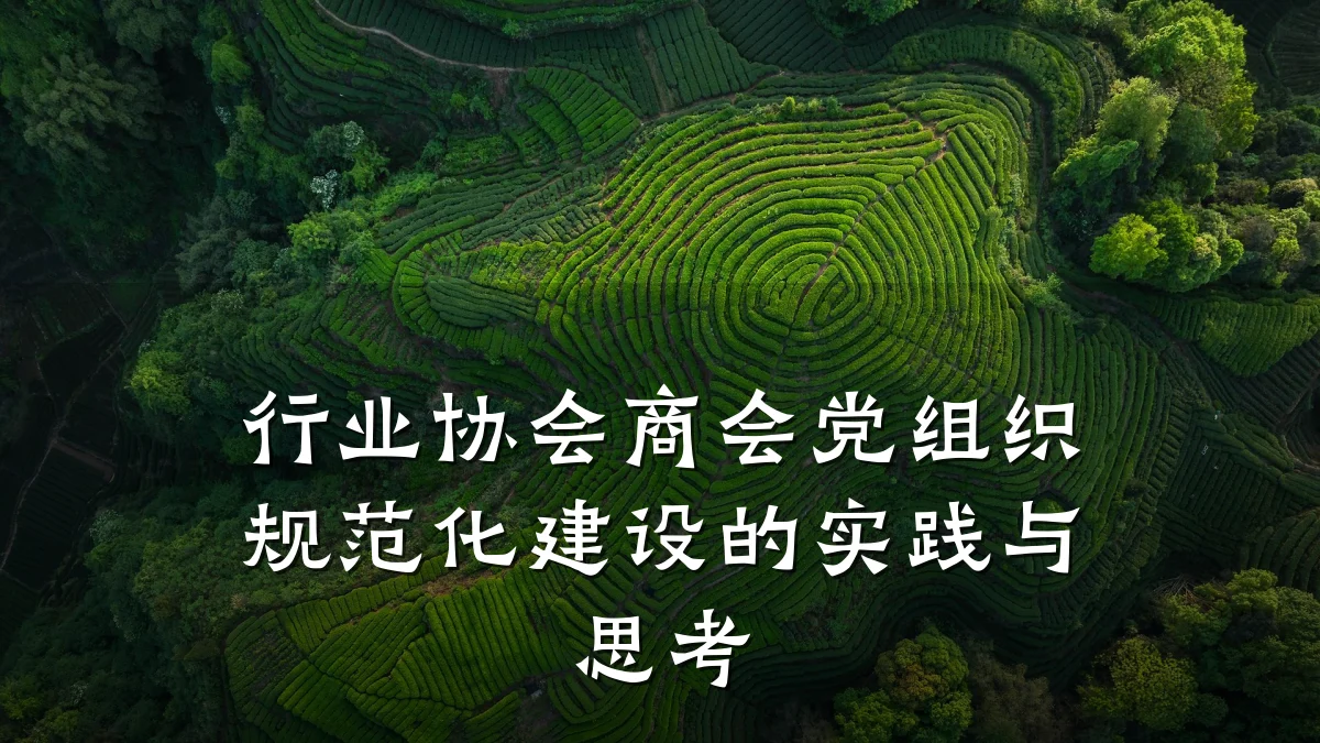 行业协会商会党组织规范化建设的实践与思考