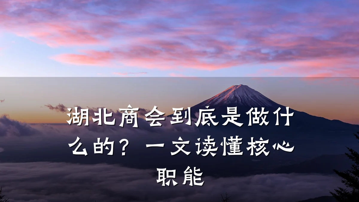 湖北商会到底是做什么的?一文读懂核心职能