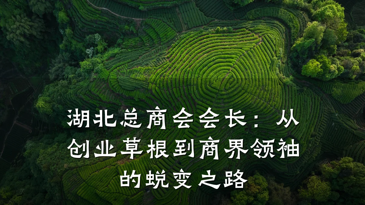 湖北总商会会长:从创业草根到商界领袖的蜕变之路