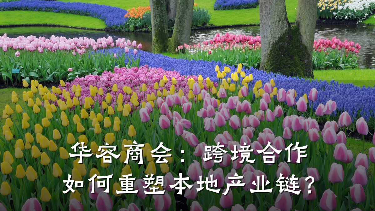 华容商会:跨境合作如何重塑本地产业链?