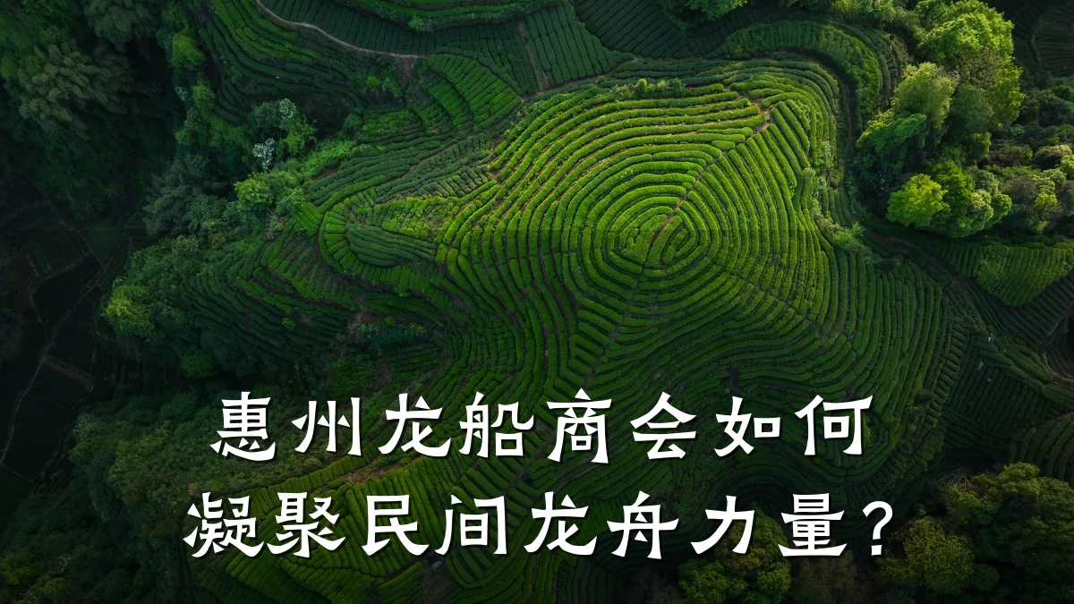 惠州龙船商会如何凝聚民间龙舟力量?