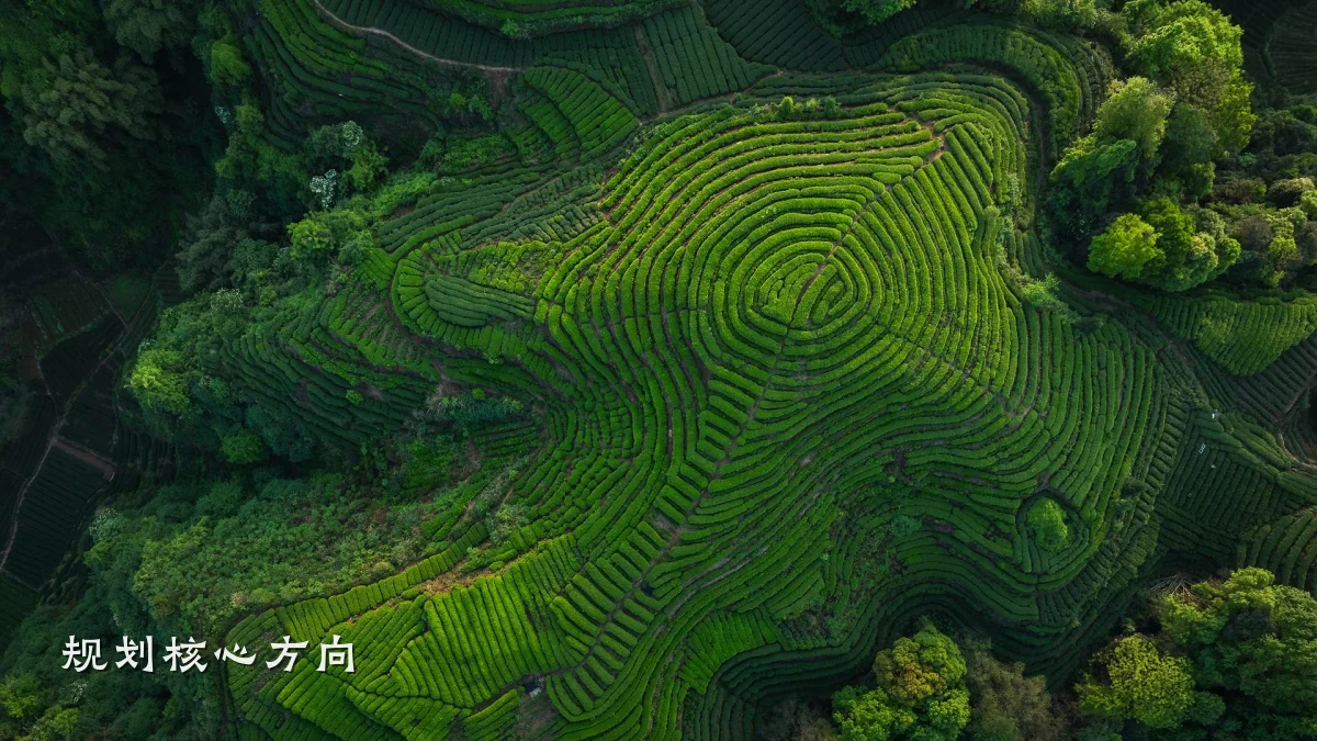规划核心方向