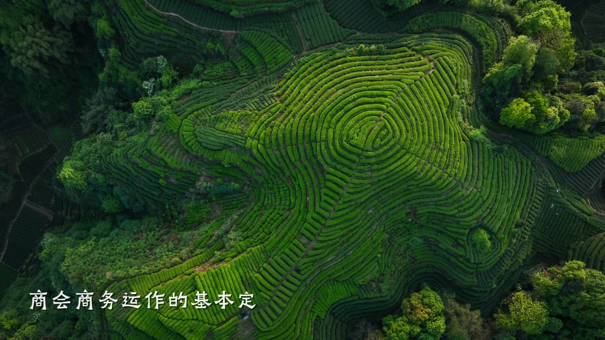 商会商务运作的基本定