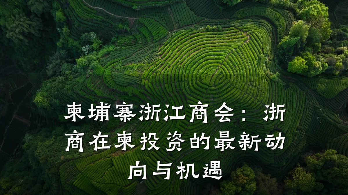 柬埔寨浙江商会:浙商在柬投资的最新动向与机遇
