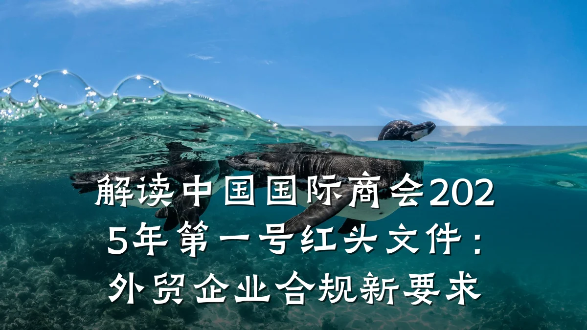 解读中国国际商会2025年第一号红头文件:外贸企业合规新要求