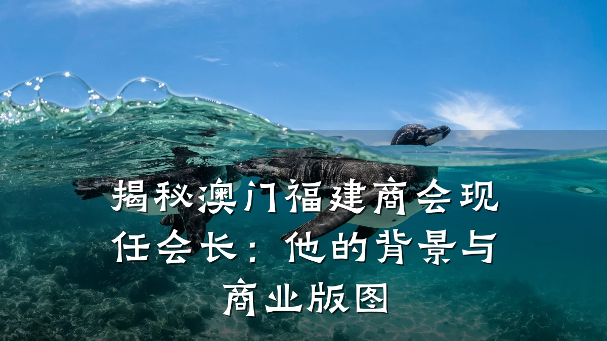 揭秘澳门福建商会现任会长:他的背景与商业版图