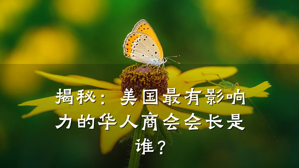 揭秘:美国最有影响力的华人商会会长是谁?